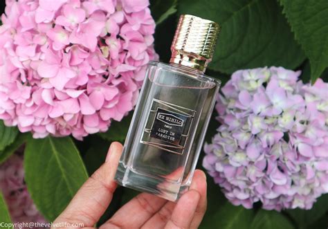 lust in paradise perfume dupe|ex nihilo perfume.